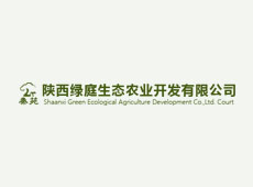 定植小苗
